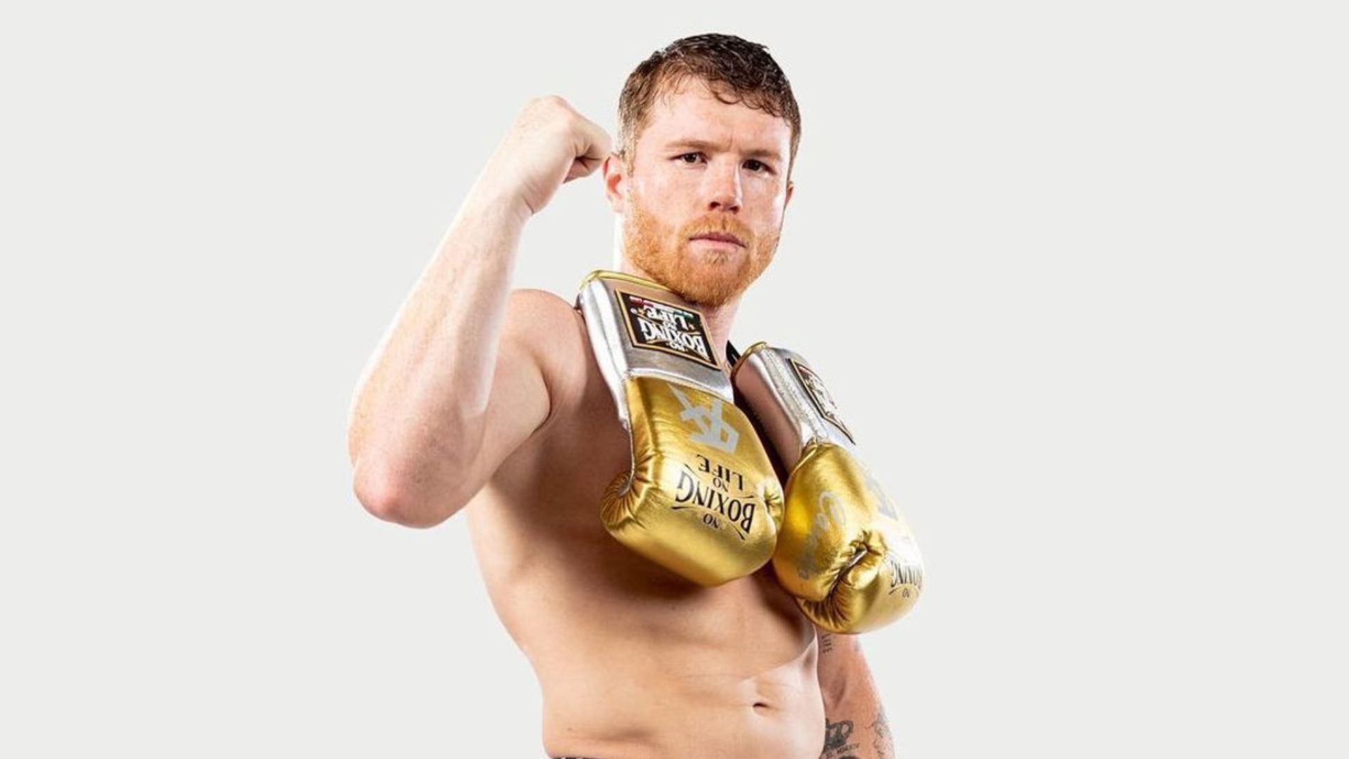 Canelo Alvarez Net Worth, Property, Family And Professional Career